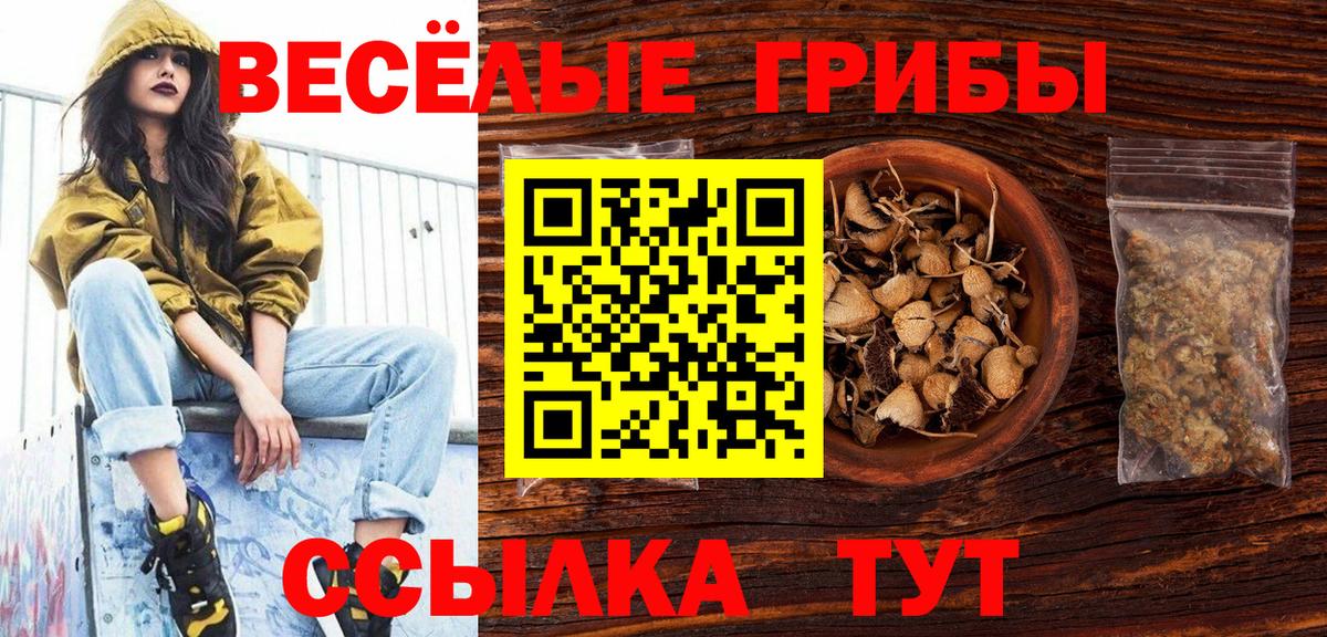 Ессентуки  Псилоцибиновые грибы мицелий  где продают наркотики  Вход с VPN 