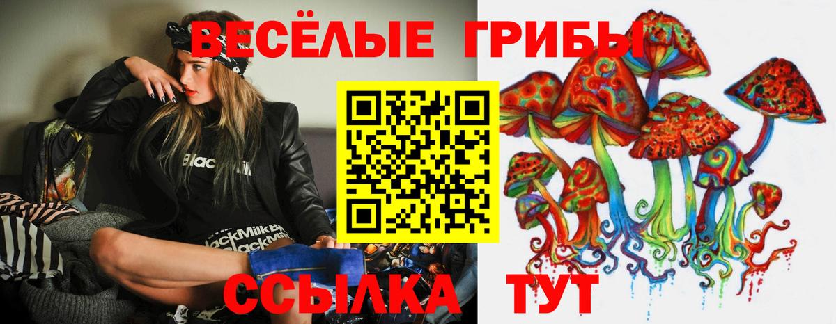 Псилоцибиновые грибы мицелий Ессентуки