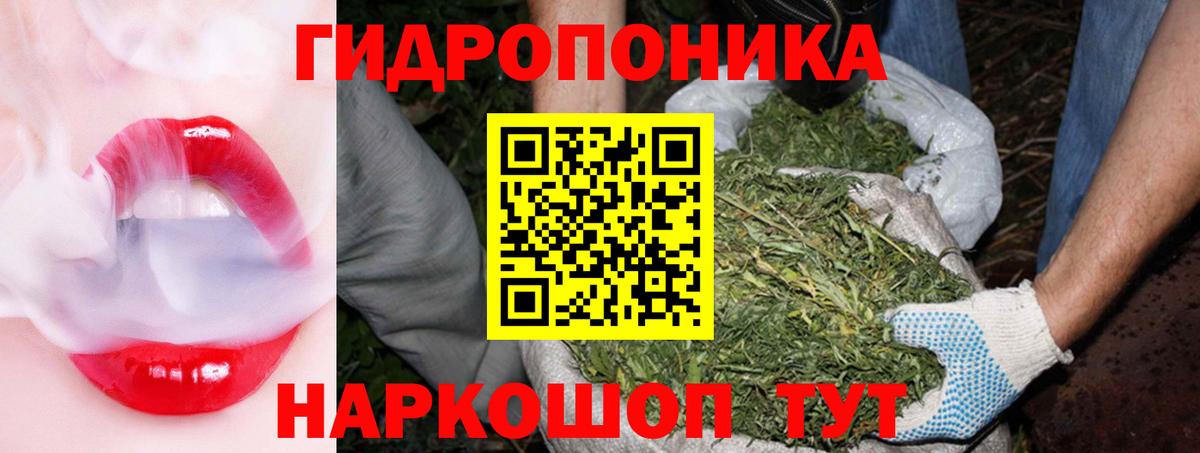 Конопля планчик  Бошки Шишки гибрид  Бошки Шишки семена  Вход с VPN  Ессентуки 